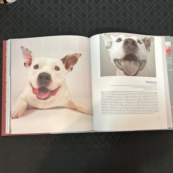 Pit Bull Mug & Book: Pit Bulls & Pit Bill Type Dogs by Melissa McDaniel - Picture 7 of 16